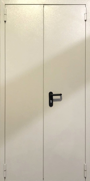 Нестандартная противопожарная равнопольная дверь RAL 7035 Двупольная глухая противопожарная дверь EI 60 RAL 7035 нестандартная (есть сертификат) (07)