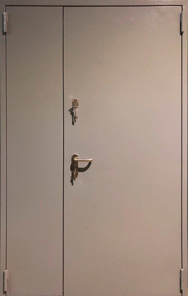 Полуторные противопожарные глухие двери Полуторная глухая противопожарная дверь EI 60 RAL 7035 (09)