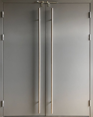 Двупольная глухая противопожарная дверь EI 60 RAL 7040 (фурнитура хром) (05)