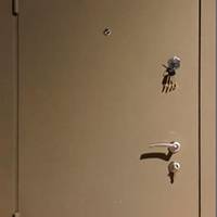 Техническая дверь для нестандартных проемов Техническая дверь для нестандартных проемов