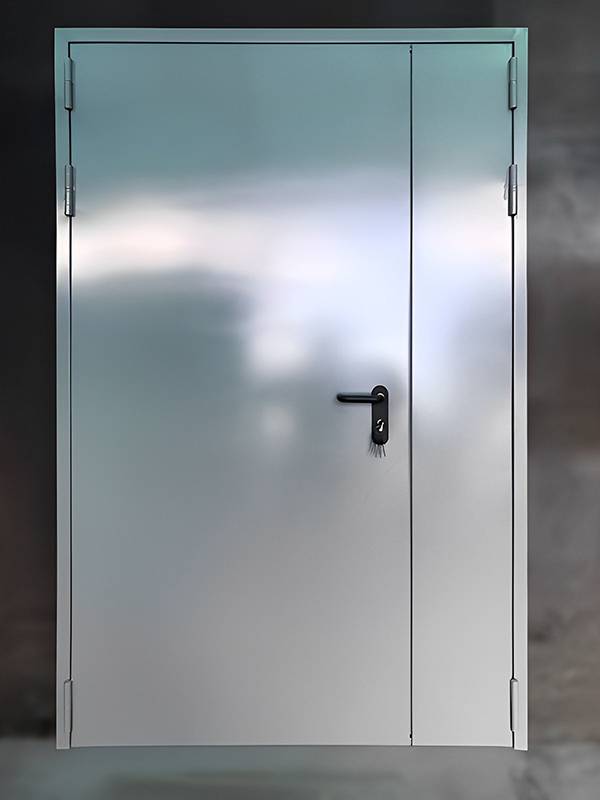 Полуторная глухая дверь Полуторная глухая дверь